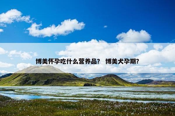 博美怀孕吃什么营养品？ 博美犬孕期？