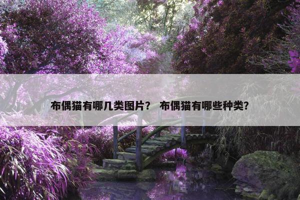布偶猫有哪几类图片？ 布偶猫有哪些种类？