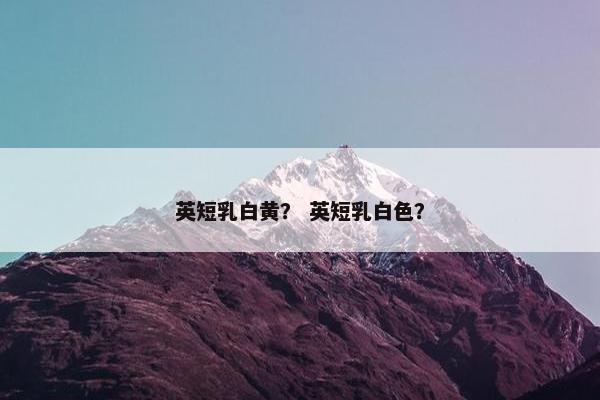 英短乳白黄？ 英短乳白色？
