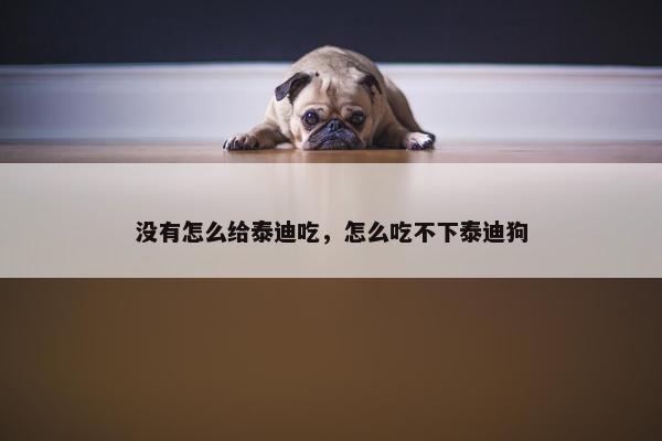 没有怎么给泰迪吃，怎么吃不下泰迪狗