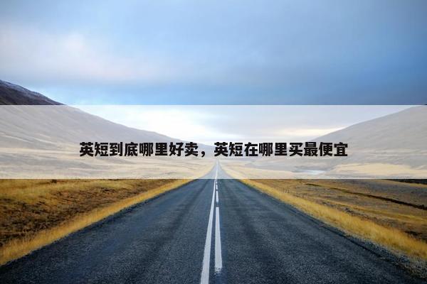 英短到底哪里好卖，英短在哪里买最便宜