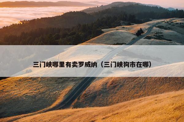 三门峡哪里有卖罗威纳（三门峡狗市在哪）