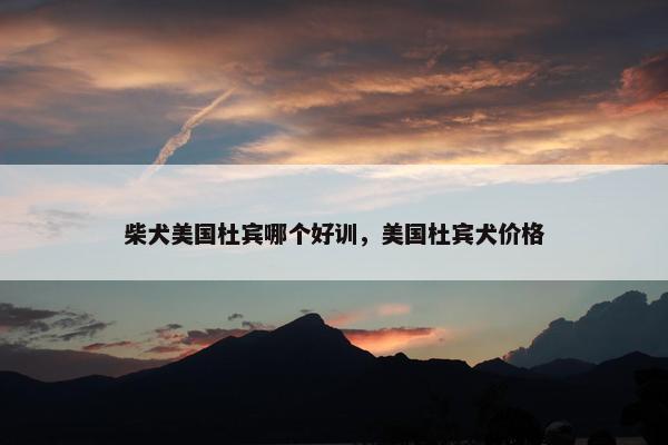 柴犬美国杜宾哪个好训，美国杜宾犬价格