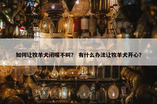如何让牧羊犬闭嘴不叫？ 有什么办法让牧羊犬开心？