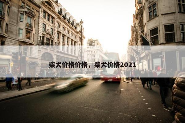 柴犬价格价格，柴犬价格2021