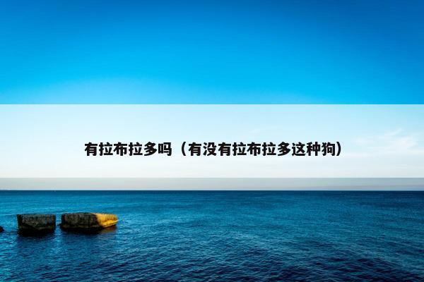 有拉布拉多吗（有没有拉布拉多这种狗）
