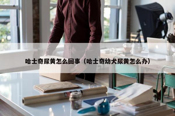 哈士奇尿黄怎么回事（哈士奇幼犬尿黄怎么办）