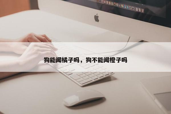 狗能闻橘子吗，狗不能闻橙子吗
