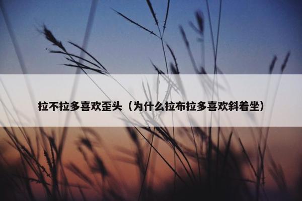 拉不拉多喜欢歪头（为什么拉布拉多喜欢斜着坐）