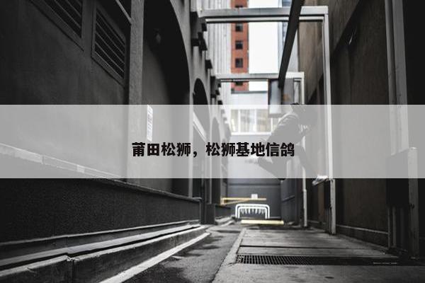 莆田松狮，松狮基地信鸽