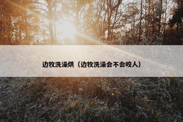 边牧洗澡烘（边牧洗澡会不会咬人）