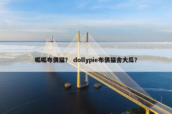 呱呱布偶猫？ dollypie布偶猫舍大瓜？