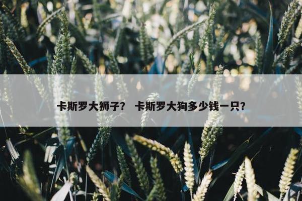 卡斯罗大狮子？ 卡斯罗大狗多少钱一只？