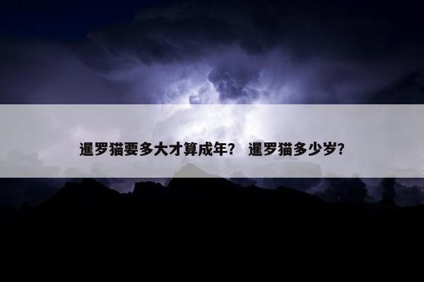 暹罗猫要多大才算成年？ 暹罗猫多少岁？