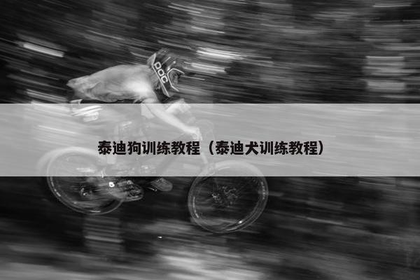 泰迪狗训练教程（泰迪犬训练教程）