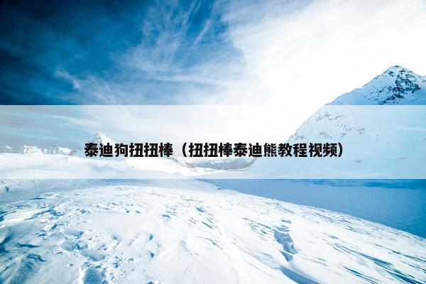 泰迪狗扭扭棒（扭扭棒泰迪熊教程视频）