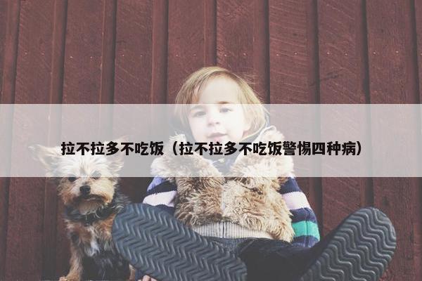拉不拉多不吃饭（拉不拉多不吃饭警惕四种病）
