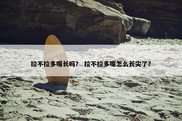 拉不拉多嘴长吗？ 拉不拉多嘴怎么长尖了？