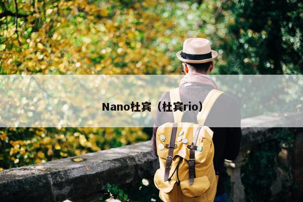 Nano杜宾（杜宾rio）