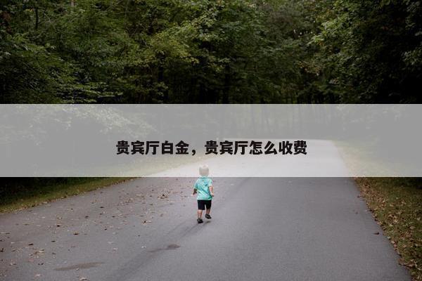 贵宾厅白金，贵宾厅怎么收费