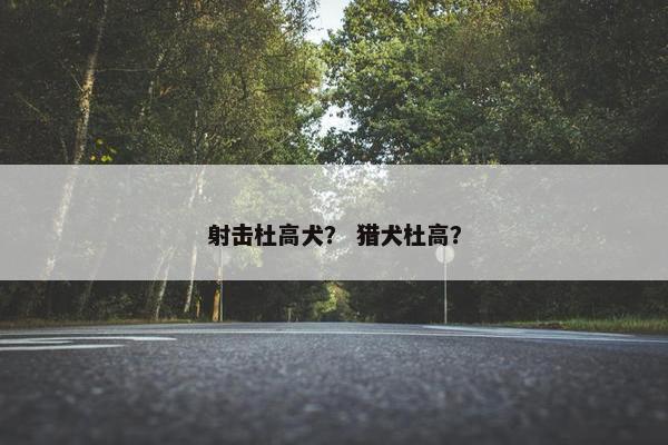 射击杜高犬？ 猎犬杜高？