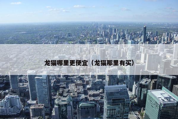 龙猫哪里更便宜（龙猫那里有买）