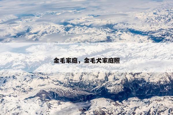 金毛家庭，金毛犬家庭照