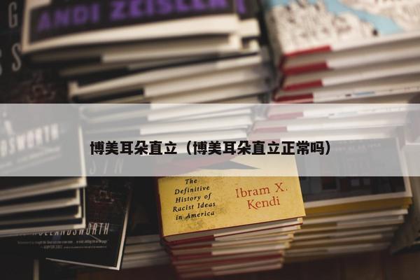 博美耳朵直立（博美耳朵直立正常吗）
