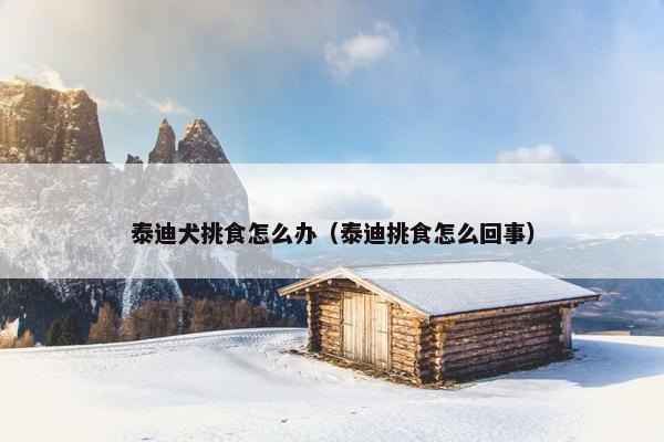 泰迪犬挑食怎么办（泰迪挑食怎么回事）