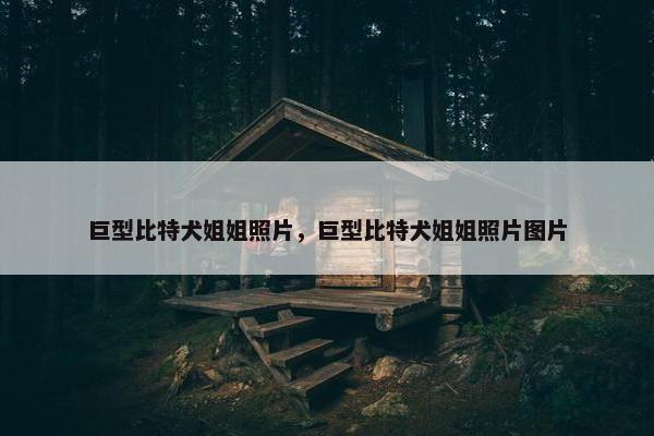 巨型比特犬姐姐照片，巨型比特犬姐姐照片图片