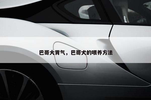 巴哥大胃气，巴哥犬的喂养方法