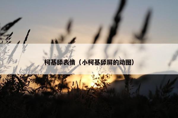 柯基舔表情（小柯基舔屏的动图）