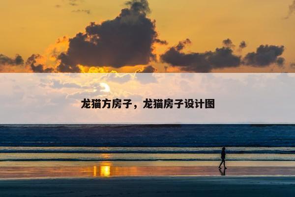 龙猫方房子，龙猫房子设计图