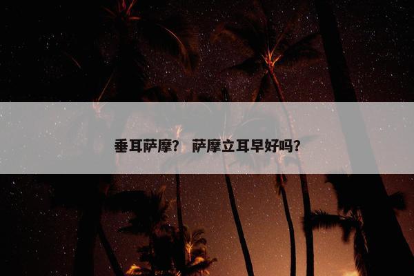 垂耳萨摩？ 萨摩立耳早好吗？