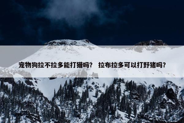 宠物狗拉不拉多能打猎吗？ 拉布拉多可以打野猪吗？
