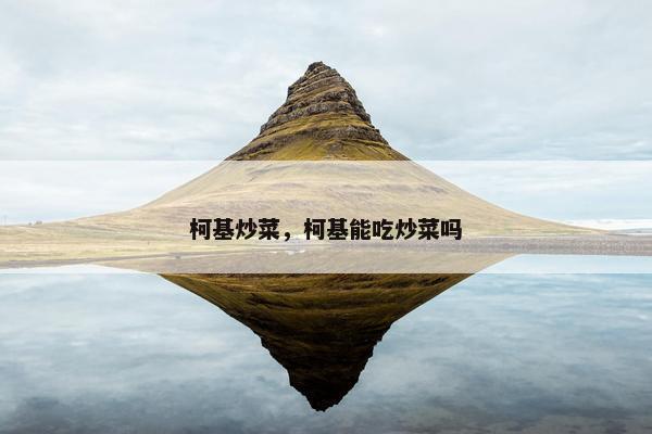 柯基炒菜，柯基能吃炒菜吗