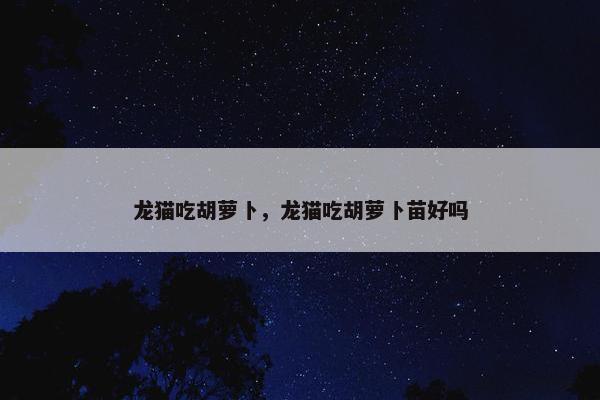 龙猫吃胡萝卜，龙猫吃胡萝卜苗好吗