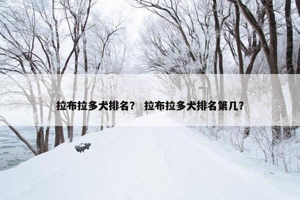 拉布拉多犬排名？ 拉布拉多犬排名第几？