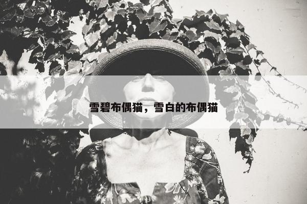 雪碧布偶猫，雪白的布偶猫