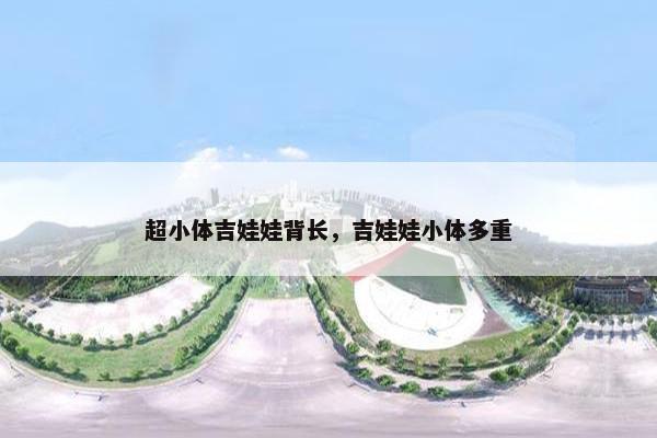 超小体吉娃娃背长，吉娃娃小体多重