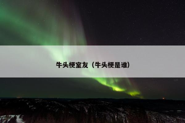 牛头梗室友（牛头梗是谁）