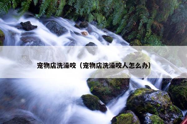宠物店洗澡咬（宠物店洗澡咬人怎么办）