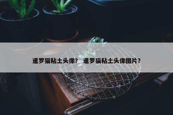 暹罗猫粘土头像？ 暹罗猫粘土头像图片？