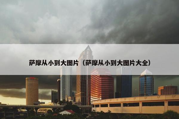 萨摩从小到大图片（萨摩从小到大图片大全）
