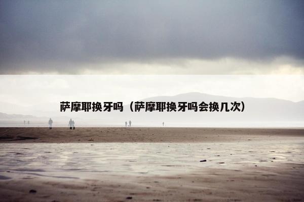 萨摩耶换牙吗（萨摩耶换牙吗会换几次）