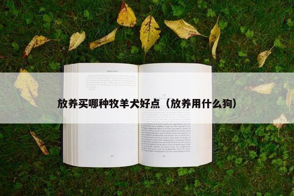 放养买哪种牧羊犬好点（放养用什么狗）