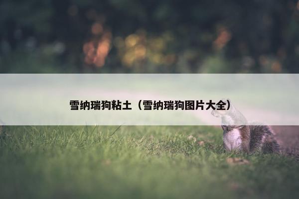 雪纳瑞狗粘土（雪纳瑞狗图片大全）