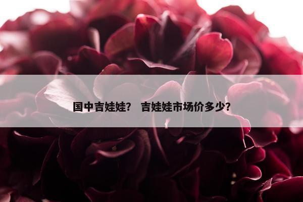 国中吉娃娃？ 吉娃娃市场价多少？