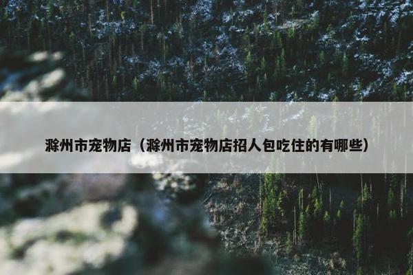 滁州市宠物店（滁州市宠物店招人包吃住的有哪些）
