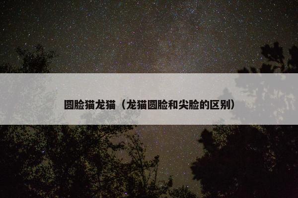 圆脸猫龙猫（龙猫圆脸和尖脸的区别）